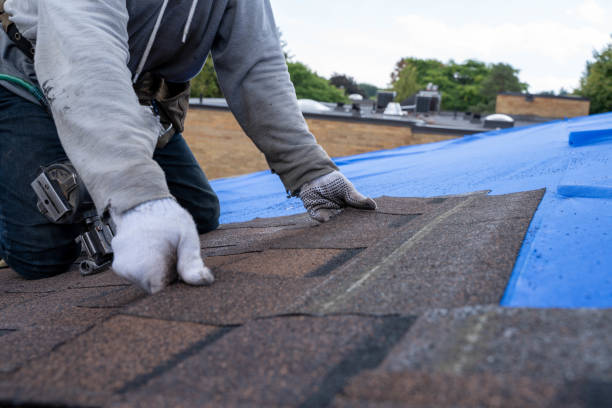 Roof Waterproofing Services in Paynesville, MN